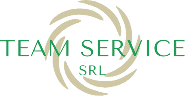 Team Service Srl
